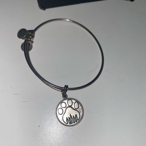 Alex and ani bracelet